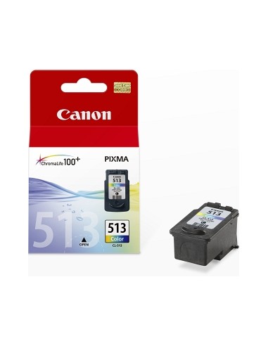 Cartuccia Canon PG-513 Color Originale