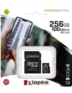 256Gb - Kingston SDCS2/256GB