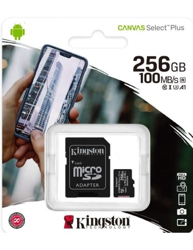 256Gb - Kingston SDCS2/256GB