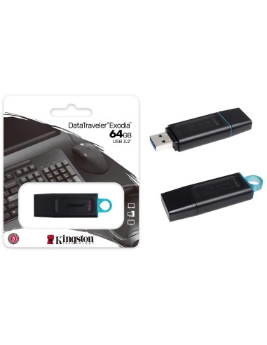 64Gb - Kingston DTX-64GB Usb 3.2