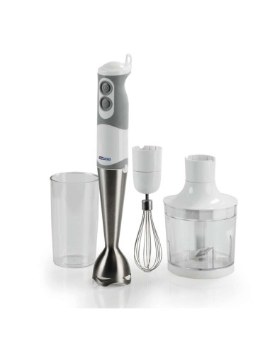 Termozeta Frullatore ad immersione Faccioio